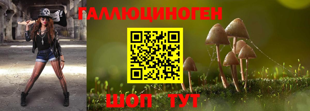 Галлюциногенные грибы MAGIC MUSHROOMS  Вход с VPN  Зерноград 